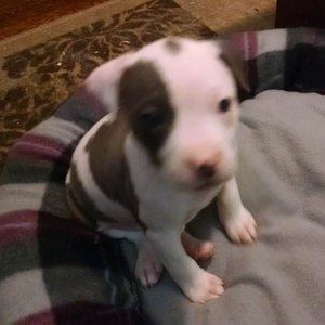 Meet your Posher, Sabrina